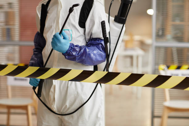 Professional Hoarding Cleanup technician working in Taylor, TX